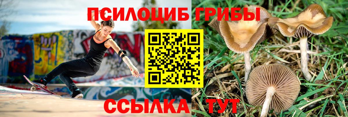 Псилоцибиновые грибы прущие грибы Людиново