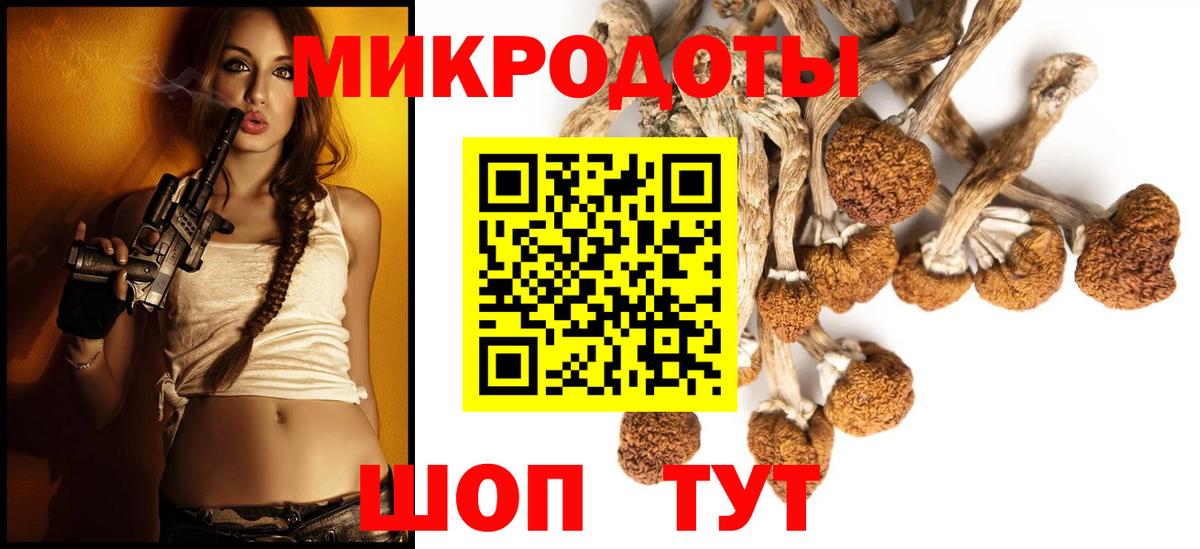 Псилоцибиновые грибы Cubensis  Вход с VPN  Людиново  Галлюциногенные грибы Psilocybe 